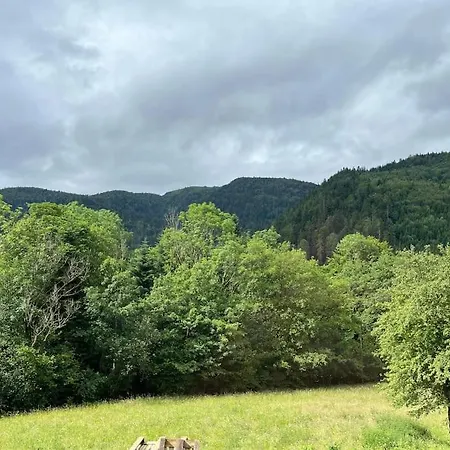 Appartement 5 Personnes Avec Espace Plein Air Saint-Maurice-sur-Moselle Buitenkant foto