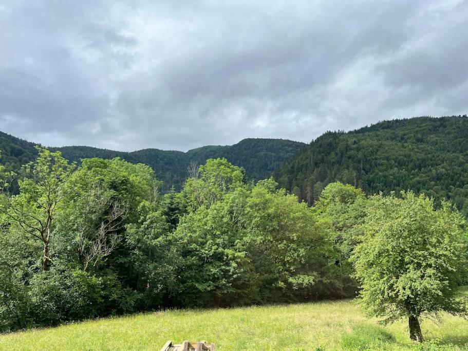 Apartment 5 Personnes Avec Espace Plein Air Saint-Maurice-sur-Moselle